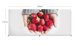 Backdrop ผ้า, Backdrop ผ้าพิมพ์, Backdrop ผ้าราคา, Backdrop ผ้าราคาถูก, Backdrop ผ้า ราคาถูก, แบคดรอปผ้า, แบคดรอป ผ้า, แบคดรอป ผ้า ราคา, แบคดรอปผ้าราคาถูก, แบคดรอป ผ้า ราคาถูก, แบคดรอป ผ้าราคาถูก, แบคดรอป บูธผ้า, แบค ดร อป ผ้า ออก บูธ, แบคดรอป ผ้า ออกบูธ, แบคดรอปผ้า ออกบูธ, แบคดรอปผ้า ราคาถูก, Backdropผ้า, Displayผ้า, Tension Backdrop, แบคดรอปผ้า, ฟูลเฟรมผ้า, ตู้ไฟผ้า, แบคดรอปผ้า, ฟูลเฟรมผ้า, ตู้ไฟผ้า, แบคดรอปผ้า ออกบูธ, แบคดรอปผ้า ออกบูธ ราคาถูก, แบคดรอปผ้า ราคาถูก, อุปกรณ์ออกบูธผ้า, อุปกรณ์ออกบูธผ้า, อุปกรณ์ออกบูธผ้า ราคาถูก, อุปกรณ์ออกบูธ, อุปกรณ์ออกบูธ ราคาถูก