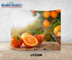 Backdrop ผ้า, Backdrop ผ้าพิมพ์, Backdrop ผ้าราคา, Backdrop ผ้าราคาถูก, Backdrop ผ้า ราคาถูก, แบคดรอปผ้า, แบคดรอป ผ้า, แบคดรอป ผ้า ราคา, แบคดรอปผ้าราคาถูก, แบคดรอป ผ้า ราคาถูก, แบคดรอป ผ้าราคาถูก, แบคดรอป บูธผ้า, แบค ดร อป ผ้า ออก บูธ, แบคดรอป ผ้า ออกบูธ, แบคดรอปผ้า ออกบูธ, แบคดรอปผ้า ราคาถูก, Backdropผ้า, Displayผ้า, Tension Backdrop, แบคดรอปผ้า, ฟูลเฟรมผ้า, ตู้ไฟผ้า, แบคดรอปผ้า, ฟูลเฟรมผ้า, ตู้ไฟผ้า, แบคดรอปผ้า ออกบูธ, แบคดรอปผ้า ออกบูธ ราคาถูก, แบคดรอปผ้า ราคาถูก, อุปกรณ์ออกบูธผ้า, อุปกรณ์ออกบูธผ้า, อุปกรณ์ออกบูธผ้า ราคาถูก, อุปกรณ์ออกบูธ, อุปกรณ์ออกบูธ ราคาถูก